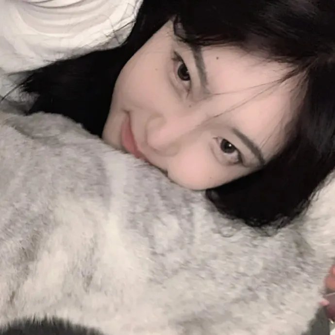 萌犬好声音4